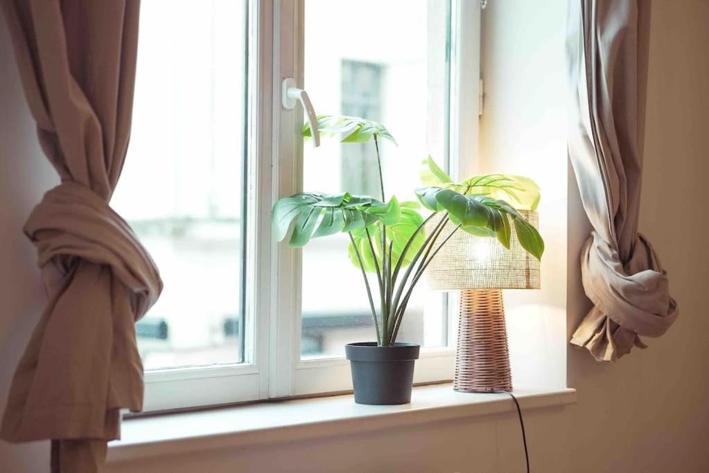 Superbe - Coeur Du Vieux-lille Appartement *
